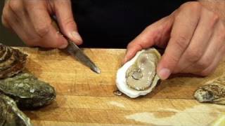 Oysters 101 Learn the Basics [upl. by Hachmann667]