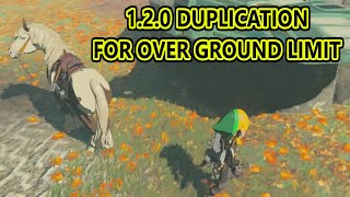 Method To 120 Duplication Glitch Tears Of The Kingdom [upl. by Gentilis951]