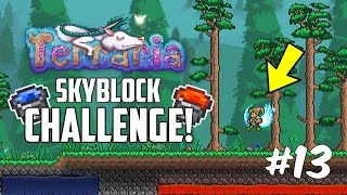 Terraria 13 SKYBLOCK CHALLENGE  Custom Modded Map Challenge  Part 13 [upl. by Imugem481]