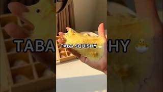 RESULTS I Made a VIRAL TABA SQUISHY 😱😳 How to Make a Taba Squishy Tutorial [upl. by Gilbert]