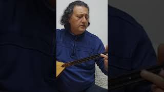 Gelmedin yar gelmedin türkü bağlama [upl. by Tolmann]