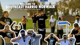 Welcome To SouthEast Varrio Norwalk Walking Thru The Hood “WE TOOK OVER” VNWK13 vlog trending [upl. by Eila448]