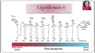 Lipidomics Part 8 [upl. by Cirone]