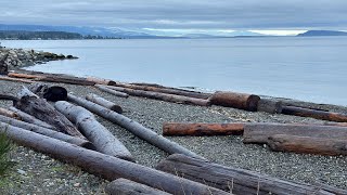 Auf wiedersehen Qualicum Beach [upl. by Wallache]