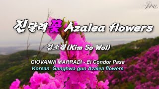 진달래꽃Azalea flowers김소월Kim So Wol2018 강화군 고려산 진달래꽃 [upl. by Oona140]