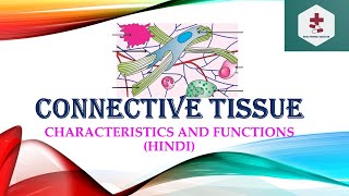 Connective tissueCells of connective tissueExtracellular matrix StructureFunctionsTypesHindi [upl. by Bevan]