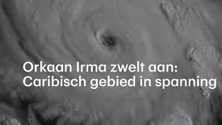 Orkaan Irma zwelt aan Caribisch gebied in spanning  RTL NIEUWS [upl. by Baudin]