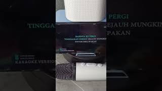 Y1 Mango Man Karaoke Portable Speaker Bluetooth speakerkaraoke speakerbluetooth micwireless [upl. by Riek]