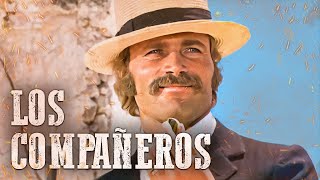 Companeros 1970 Movie  Franco Nero Tomas Milian Jack Palance Fernando Rey  Review and Facts [upl. by Leynwad]