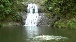 Rainbow Waterfall Goldsborough TOBAGO [upl. by Ayekel812]