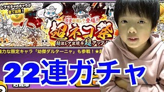 【にゃんこ大戦争】超ネコ祭！限定超激レア出現率がアップしただと！？11連ガチャ2連続！誕生日1万円企画【ロボットゲームズ】 [upl. by Kylen758]