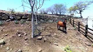 Rancho en Venta en Amatitan Jalisco [upl. by Toffey924]