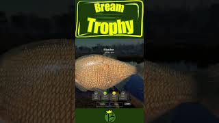 Mein GeheimSpot für Trophy Brassen in RF4 – Probiers aus [upl. by Glynas]