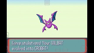 How to get Crobat in Pokemon Ruby  Sapphire  Emerald  tips to get happiness fast [upl. by Sherlocke]