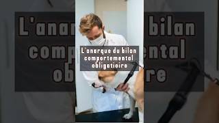 Larnaque du bilan comportemental obligatoire [upl. by Ethyl]