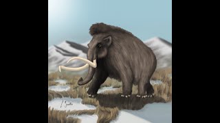 Reconstruction of a woolly mammoth Mammuthus primigenius  Paleoart process [upl. by Drofkcor505]