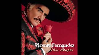 Vicente Fernández  Hermoso Cariño [upl. by Berna]