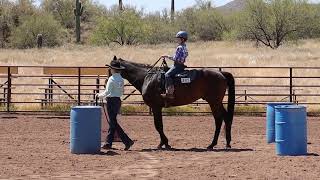 Class 17  Trail Class  Scottsdale Saddle Club  May Horse Show [upl. by Yelrac7]