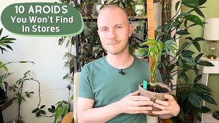 10 Aroids You Wont Find In Plant Shops [upl. by Shelden932]