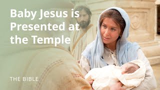 Luke 2  The Christ Child Is Presented at the Temple  The Bible [upl. by Dilan159]