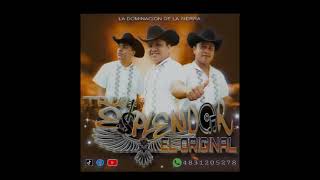 TRIO ESPLENDOR 😍 CHILENA AZTECA VS MOLINOS DE VIENTO ♥️🎬🎥🎞️ BAILE EN VIVO 🎥 2024 [upl. by Lenod77]