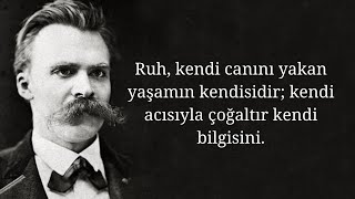 Ayaktakımı üzerine  Friedrich Nietzsche [upl. by Stockmon]