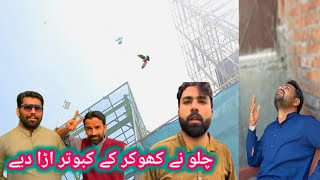 khokhar ke sab kabutar chillane uda diye سب کبوتر اڑ گئے چیلوں کی وجہ سے [upl. by Yregerg149]