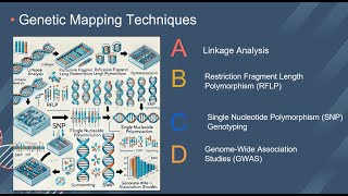 ECOM 6349  Student Participations  Genetic Mapping [upl. by Lauree]