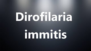 Dirofilaria immitis  Medical Meaning and Pronunciation [upl. by Turrell]