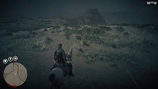 Rio Grande Wild Turkey location RDR2 [upl. by Zubkoff]