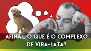 O que é o quotcomplexo de viralatasquot [upl. by Spalding]