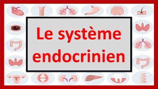 🔴ENDOCRINOLOGIE  LE SYSTÈME ENDOCRINIEN EN 06 MINUTES [upl. by Doomham]