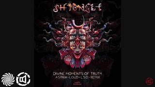 Shpongle  Divine Moments of Truth Astrix LOUD amp LSD Remix [upl. by Rozanna]