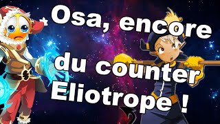 Dofus  Osamodas antiEliotrope   PvP 1vs1 refonte [upl. by Jurdi]