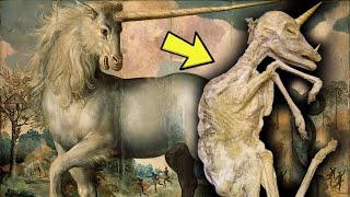 Scientists Have Found Fossils That Prove Unicorns Existed But They Were Actually Pretty Terrifying [upl. by Amalea]