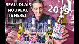 Beaujolais Nouveau What you NEED to know [upl. by Verna]