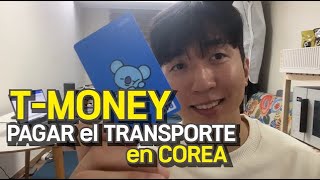 PAGAR el TRANSPORTE en COREA  CÓMO SUBIR Y PAGAR  PREPARACIÓN PARA el VIAJE [upl. by Suiravat]