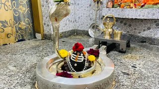 Shree Neelkanth Mahadev jaishivshankar harharmahadev uttrakhand pahadi [upl. by Rento]