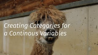 Categorizing continuous variable [upl. by Dylana]