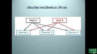 Economie Lorganisation des entreprises [upl. by Navinod449]