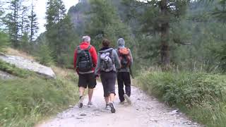 Sanzioni dei Carabinieri Forestali in alcune attività dell’Alpe Veglia [upl. by Blondell]