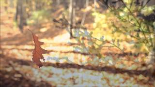 Autumn Leaves  Nat King Cole HD HQ Audio with lyrics [upl. by Farrington892]