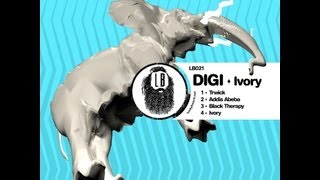 Digi  Ivory Original Mix [upl. by Licna]