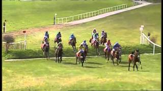 Punchestown Banks Guide [upl. by Gensmer]