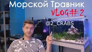 Морской травник VLOG2 [upl. by Reffineg]