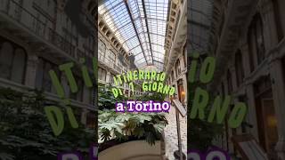 Cosa vedere in 1 giorno a Torino torino turin [upl. by Ximenez]