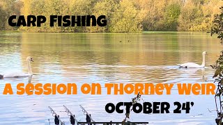 Carp Fishing  A Session on Thorney Weir [upl. by Haleehs]