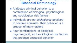 Theories of Criminology Dr A Black [upl. by Delilah]