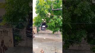 Barsat song shortsfeed viralvideo 🌧️🌧️🌨️ [upl. by Anahsat]