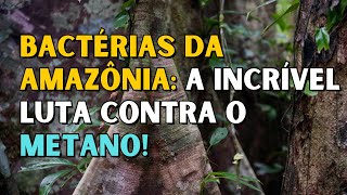 Bactérias nos troncos das árvores da Amazônia são capazes de absorver metano [upl. by Fredia]